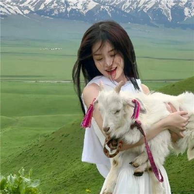 斯派克岛冒险之旅